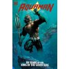 Aquaman: 80 Years of the King of the Seven Seas The Deluxe Edition