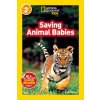 National Geographic Kids Readers: Saving Animal Babies (Amy Shields)(Brožovaná)