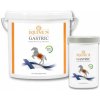 Equine74 Špeciálna prírodná zmes proti žalúdočným vredom Gastric, 2 kg Hmotnosť: 2 kg prášok