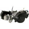 Motor 49c 2- takt s elektrickým štartérom pre Minicross a minibike s převodovkou typ1 (délka 210mm) bez karburátoru