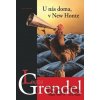 U nás doma, v New Honte - Lajos Grendel