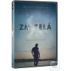 Zmizelá DVD (David Fincher)