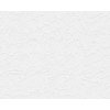 A.S. Creation Vliesová tapeta Shades of White 251718, 10,05 x 0,53 m