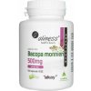 Aliness Bacopa Monnieri 500 mg - 100 veg. kapsúl