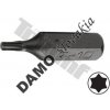 TRIUMF Bit Torx nevŕtaný, 8 mm (5/16