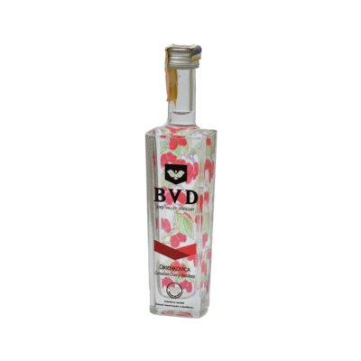 Mini BVD Drienkovica 45% 0,05l (holá fľaša)