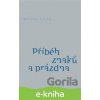 Příběh znaků a prázdna - Michal Ajvaz