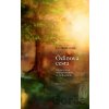 Ódinova cesta - Jan Provazník