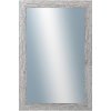 DANTIK - Zrkadlo v rámu, rozmer s rámom 40x60 cm z lišty RETRO šedá (2530)