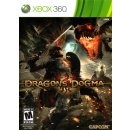 Dragons Dogma