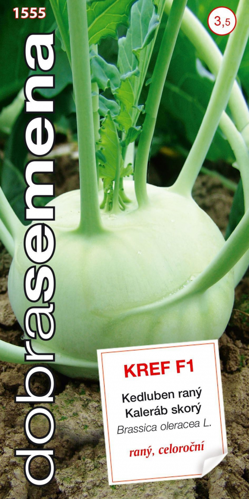Dobré semená Kaleráb biely - Kref F1 raný 40s