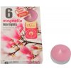Admit Tea Lights Magnolia 6 x 12 g