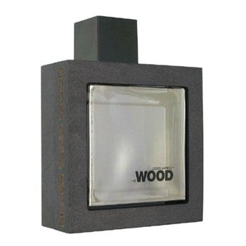 Dsquared2 Wood Silver Wind Wood toaletná voda pánska 100 ml Tester