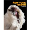 NEW YORK PIGEON (GARN ANDREW)(Pevná)