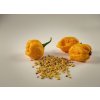 Trinidad Scorpion yellow semienka 10 ks