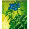 Yes - Fly From Here / Return Trip / Blu-Ray Audio [Blu-Ray]