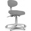 Kozmetická stolička Silverfox ELAR - svetlosivá