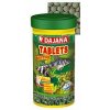 Dajana Tablety na dno 100 ml