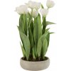 J-Line by Jolipa Biela dekoračné kytička Tulipány v črepníku - 30 * 31 * 48cm - J-Line by Jolipa