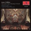 ORGAN WORKS: Gabriel Kney Organ [Callahan] (CD)