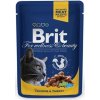 BRIT Premium cat Kapsička Adult Chicken & Turkey 100g