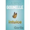 Intuice - Laurent Gounelle