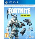 Fortnite: Deep Freeze Bundle