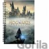 Cinereplicas Zápisník Hogwarts Legacy A5