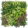 Moss coral mix, dielec 50 x 50 cm (Realistická imitácia machu - vyššia hustota)