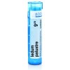 Ledum Palustre gra.1 x 4 g 9CH
