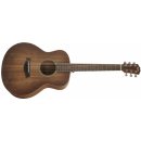 Taylor GS Mini-e