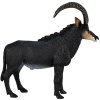Animal Planet Antilopa vraná