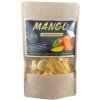 Healthy Planet MRAZOM SUŠENÉ OVOCIE MANGO 20 g