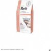 Brit Veterinary Diets GF cat Renal 5 kg