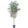 Umelý strom Olivovník prírodné kmene, 180cm