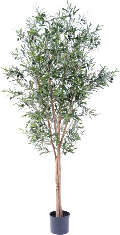 Umelý strom Olivovník prírodné kmene, 180cm