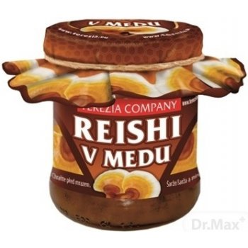 Terezia Company Reishi v Medu 250 g