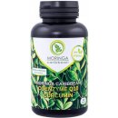 Moringa Caribbean Coenzyme Q10 & Curcumin 120 kapsúl