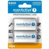 everActive D 10000 mAh 2 ks EVHRL20-10000