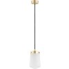 Argon | Argon 8004 - Luster na lanku PASADENA 1xE27/15W/230V zlatá/biela | AR8004