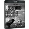 Nabarvené ptáče 2BD (BD+BD bonus disk)