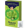 LEROS Čaj bylinný Čajová náruč medovka 20 x 1g