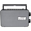 Panasonic RFD30BTEGK čierna / Rádio / FM / DAB+ / RDS / BT / AUX / USB / (RFD30BTEGK)