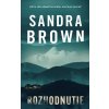 Rozhodnutie (Sandra Brown)