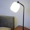 Casablanca Murea stolná lampa, rám zakrivený - MU11-T156K