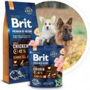 Brit Premium by Nature Senior S + M 15 kg