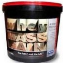 Megabol Whey Mass Gain 3000 g