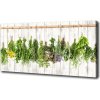 Foto-obraz canvas do obývačky Bylina na povrázku 100x50 cm