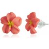 Náušnice FIMO Hawaii jew613 bižutéria (Náušnice FIMO Hawaii jew613 bižutéria)