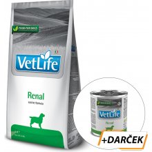 Vet Life Dog Renal 2 kg